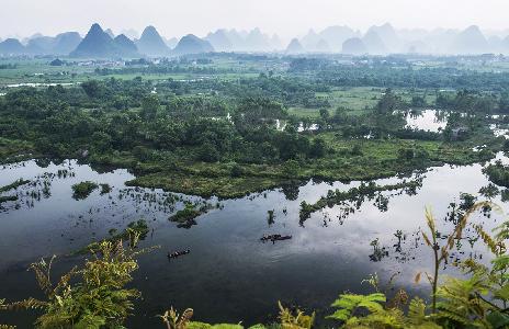 桂林會仙溼地